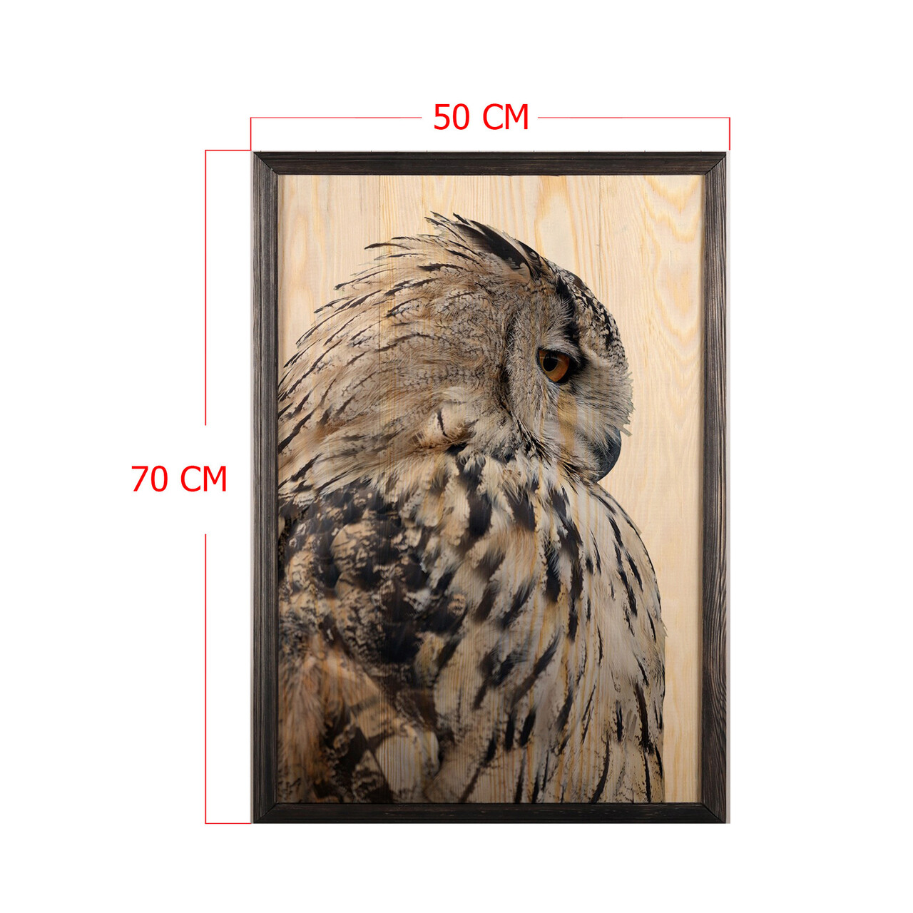 Tablou decorativ, Owl XL, Lemn, Lemn, Multicolor