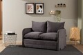 Canapea extensibilă cu 2 locuri, Futon, 859FTN2873, Metal , Gri