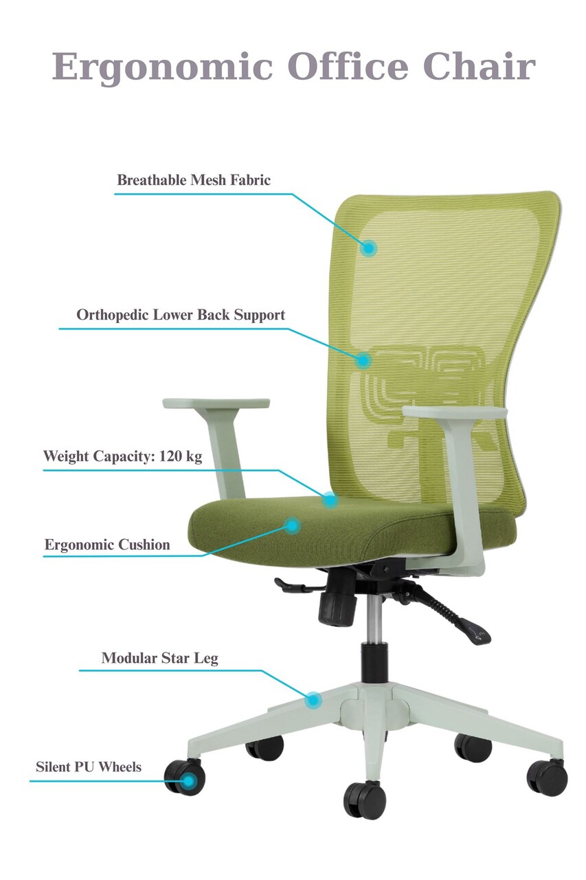 Set scaune de birou (2 piese), Hanah Home, Lumbar 108, Plastic, Verde - view 6