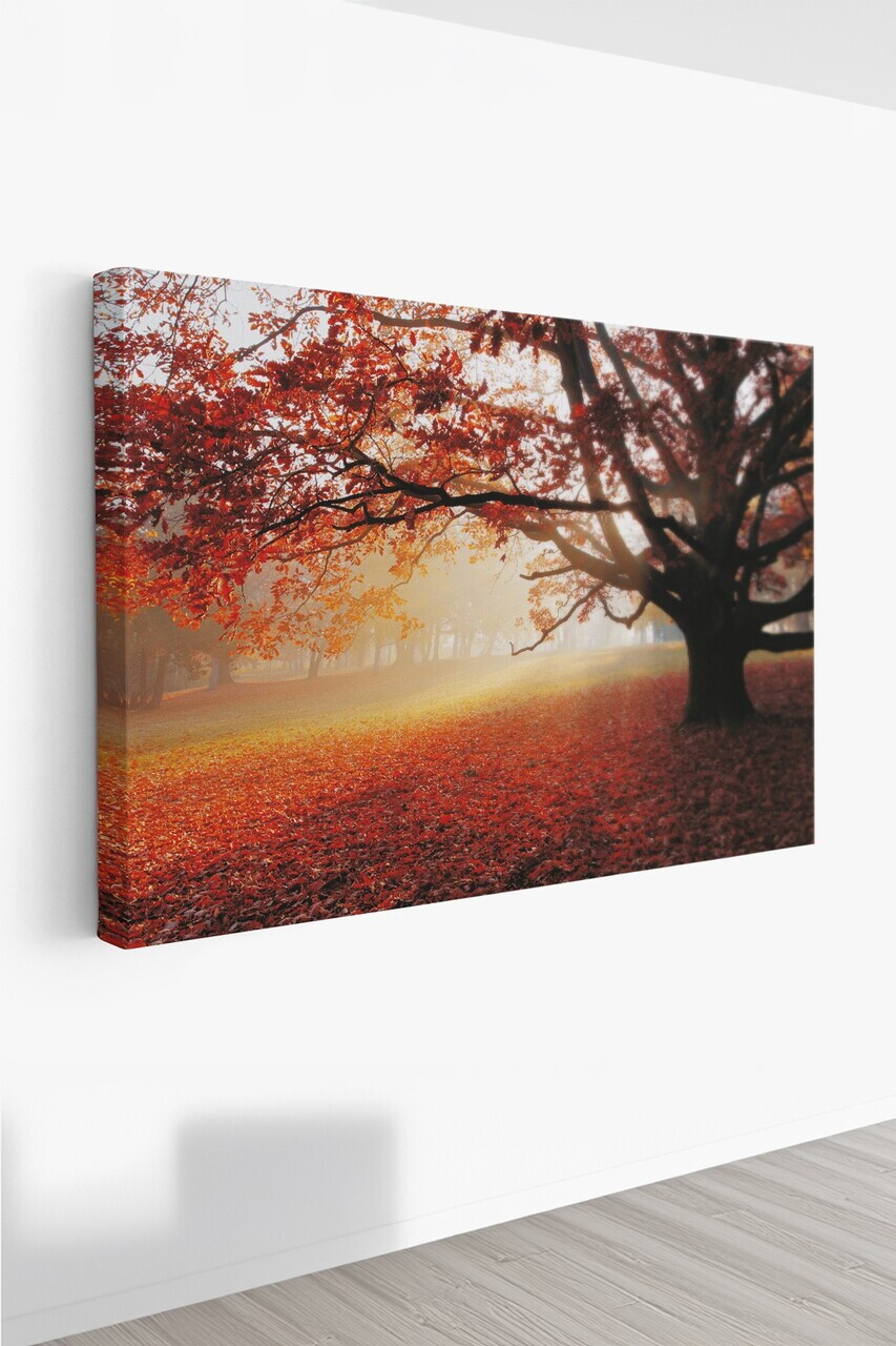 Tablou decorativ, Ersyfdc200, Canvas, Dimensiune: 40 x 60 cm, Multicolor — imaginea 2