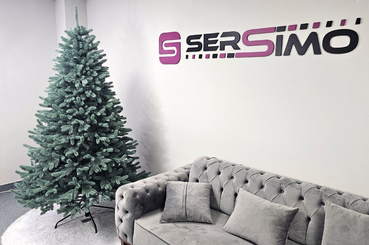 Brad artificial Christmas Deluxe by Sersimo, Laponia Select argintiu, integral 3D, 250cm — imaginea 14
