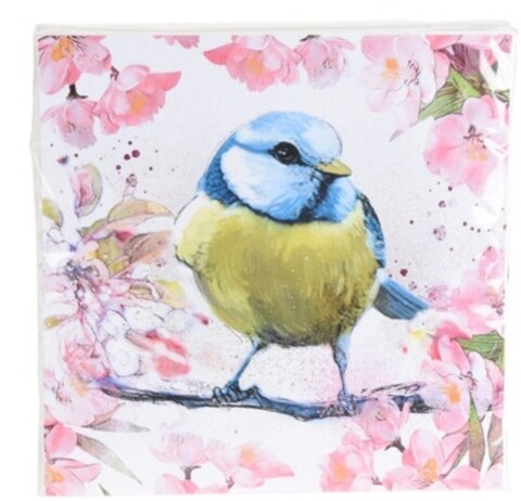 Servetele Bird, 33×33 cm, 20 buc, hartie, verde/albastru Excellent Houseware imagine 2022 by aka-home.ro