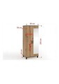 Dulap cu oglinda ADRK, Pola 11, 80x56x193 cm, PAL laminat, artisan