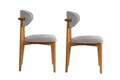 Set scaune 2 piese, Wayland, Lionte, Gri / Stejar închis