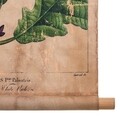 Decoratiune de perete Hazelnut Leaf, Creaciones Meng, in/brad chinezesc, 44x73 cm
