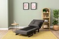 Canapea extensibilă cu 1 loc, Futon, 859FTN2346, Metal , Gri inchis