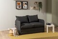 Canapea extensibilă cu 2 locuri, Futon, 859FTN2875, Metal , Gri inchis