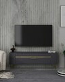 Comoda TV, Olivia, Retrolp1, Antracit / Aur