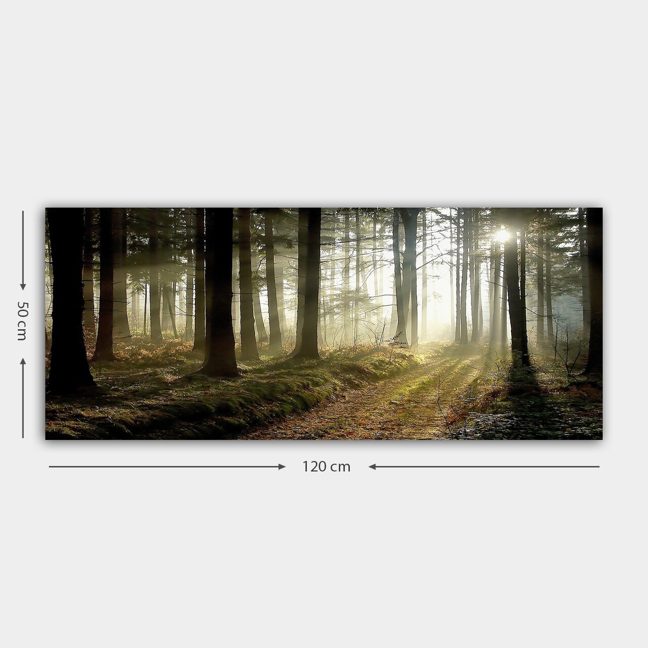 Tablou decorativ, YTY249153832_50120, Cadru: 100% LEMN (grosime: 3 cm), Multicolor - view 3