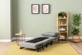 Canapea extensibilă cu 1 loc, Futon, 859FTN2347, Metal , Gri deschis
