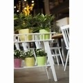 Ghiveci cu farfurie Toscana 25 cm, verde fistic