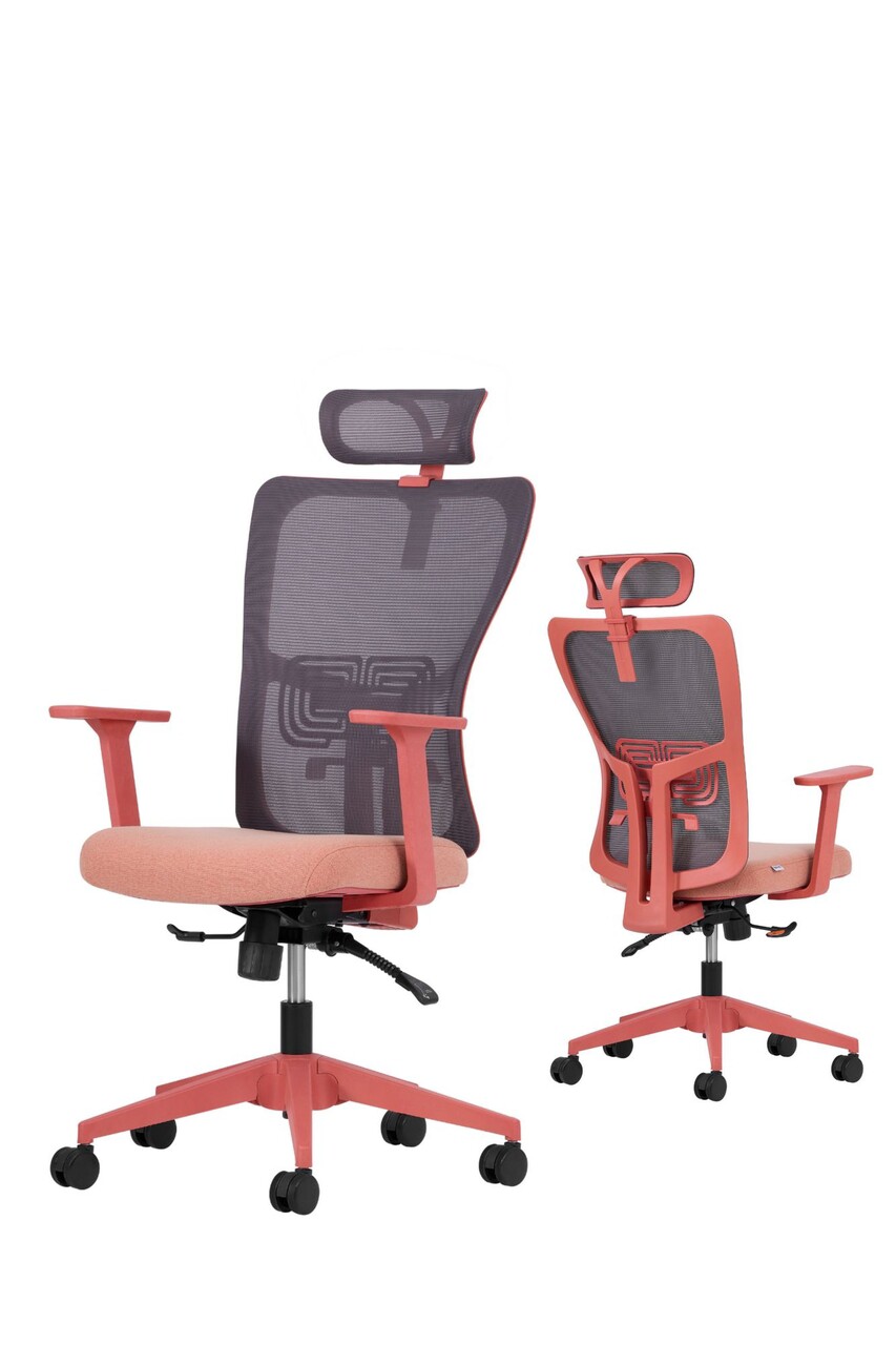 Set scaune de birou (2 piese), Hanah Home, Lumbar 126, Plastic, Roz somon - view 2