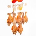 Decoratiune de perete, Creaciones Meng, 15x40 cm, scoici