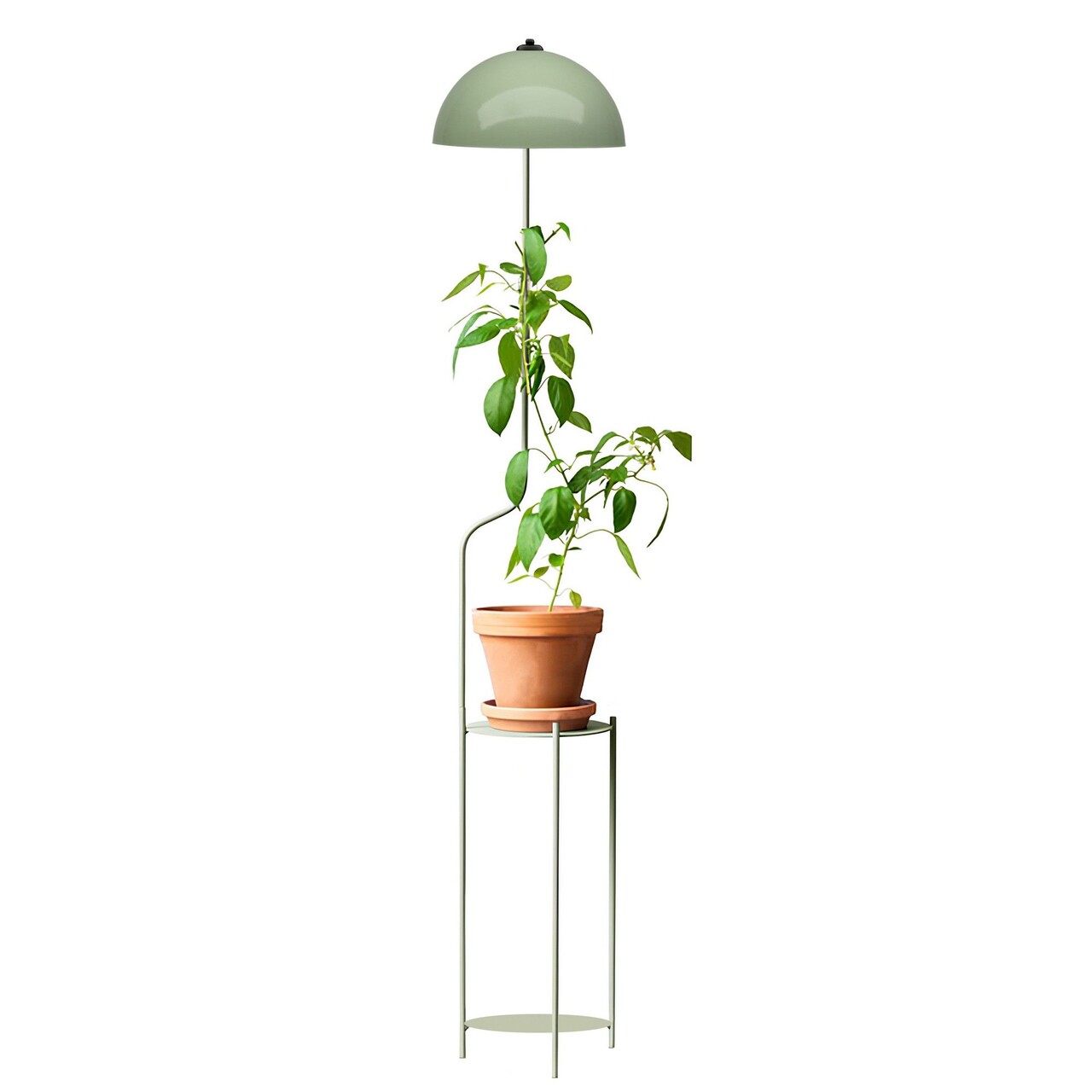 Lampadar, L'essentiel Maison, 780SGN4715, Verde menta - view 2