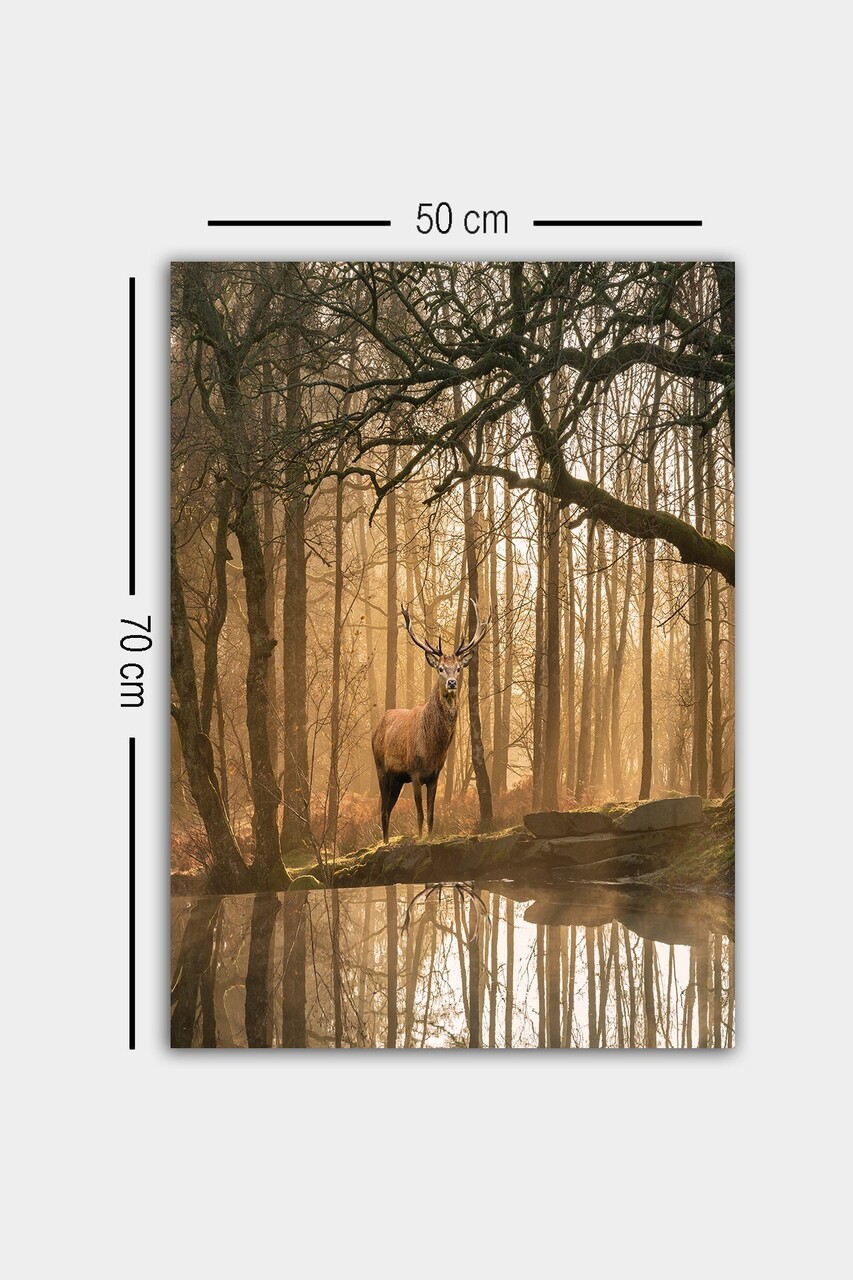 Tablou decorativ, 1276742665-5070, Cadru: 100% LEMN (grosime: 3 cm), Multicolor - view 4