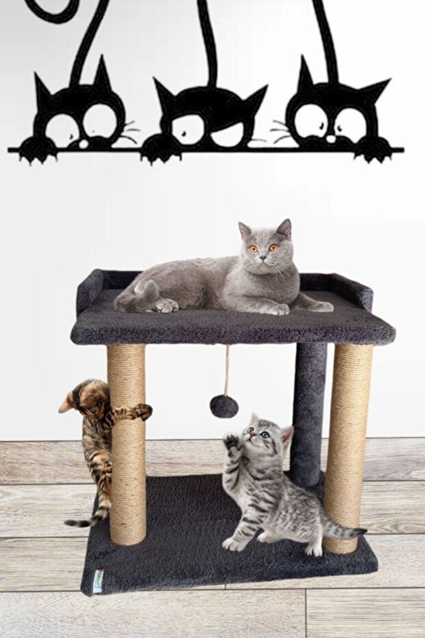 Pat pentru pisici, Paws &amp; Whiskers, Liza, Tesatura Welsoft, Antracit - view 2