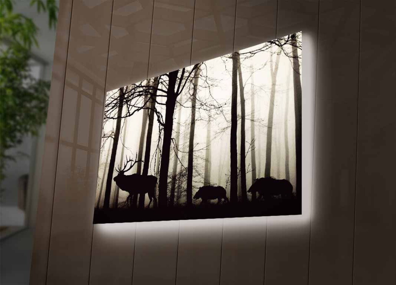 Tablou decorativ cu lumina LED, 4570DHDACT-080, Dimensiune: 45 x 70 cm, Multicolor - view 3
