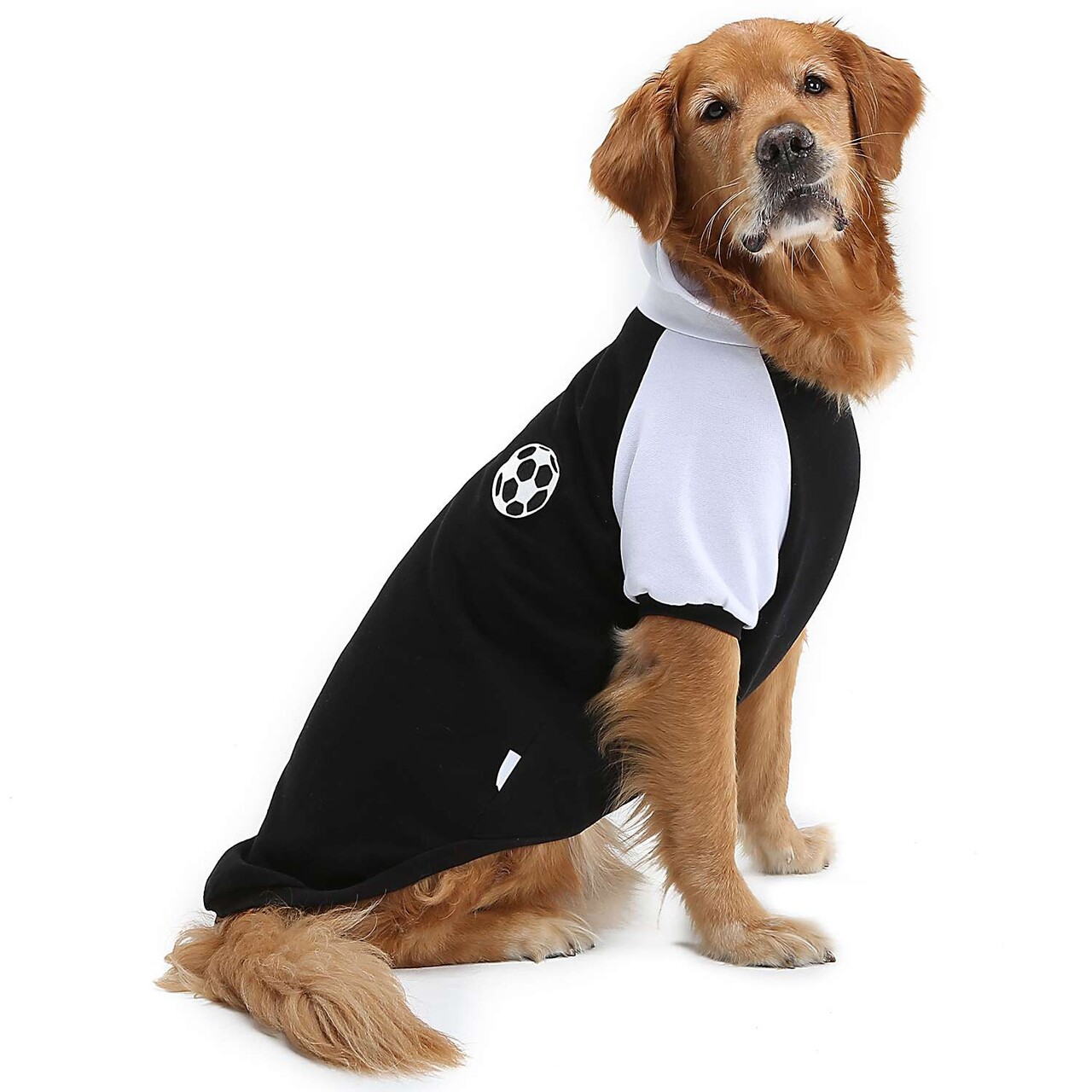Hanorac pentru câini, Paws &amp; Whiskers, Blackballsweat, Negru - view 2