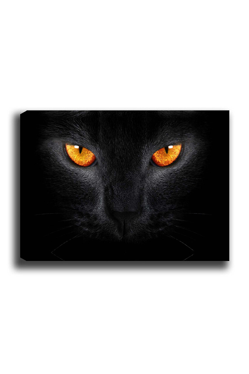Tablou decorativ, Kanvas Tablo (70 x 100), Cadru: 100% LEMN (grosime: 3 cm), Multicolor - view 2