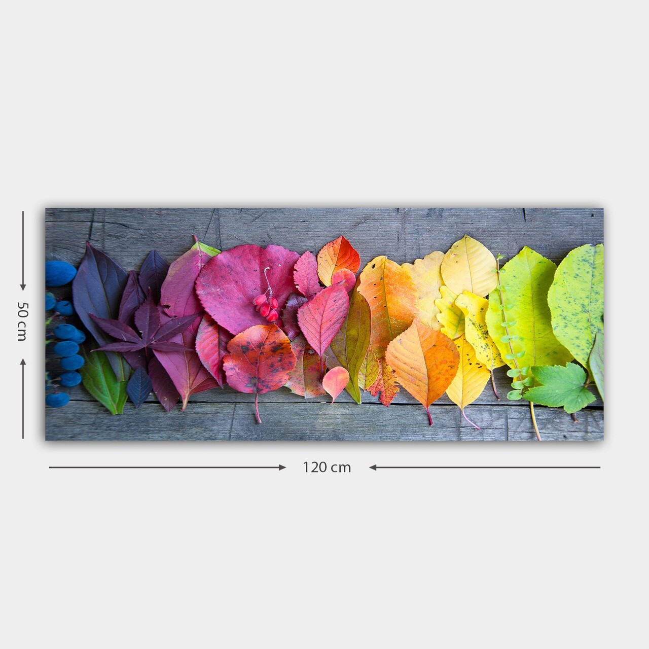 Tablou decorativ, YTY225930193_50120, Cadru: 100% LEMN (grosime: 3 cm), Multicolor - view 3