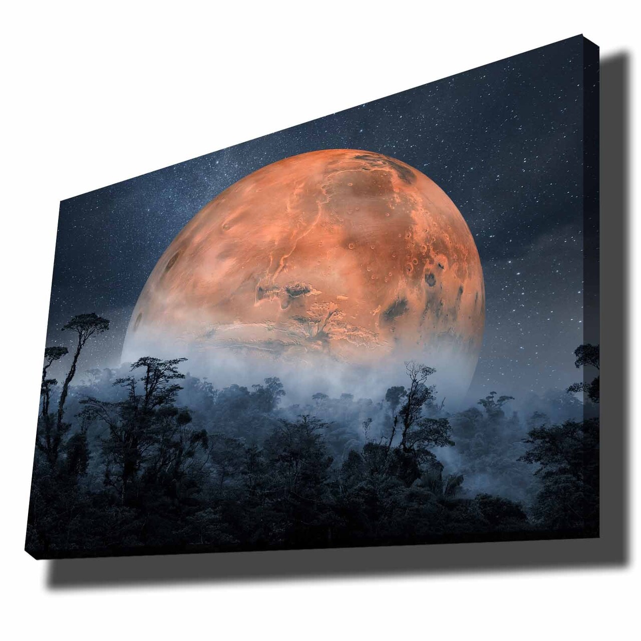 Tablou decorativ, 70100NISC-049, Lemn, Portocaliu / Bleumarin / Negru - view 3