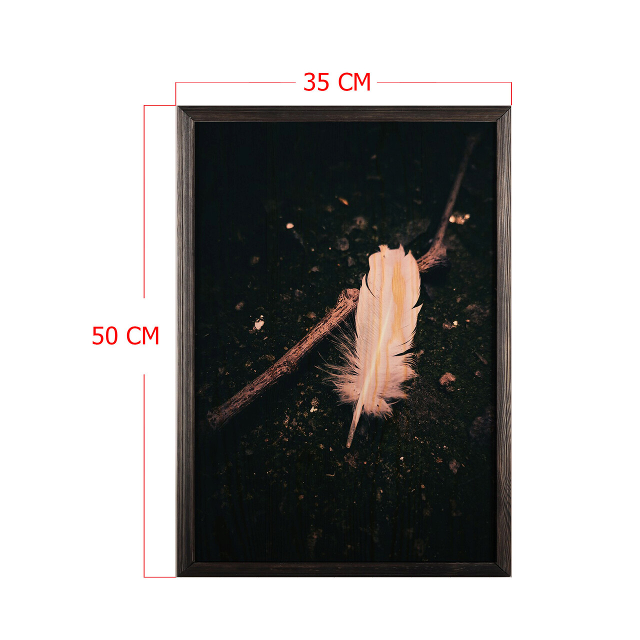 Tablou decorativ, White Feather, Lemn, Lemn, Multicolor
