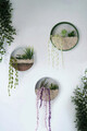 Decoratiune de perete, Shrubby St. Johnswort, Metal, Fier, Verde/Alb