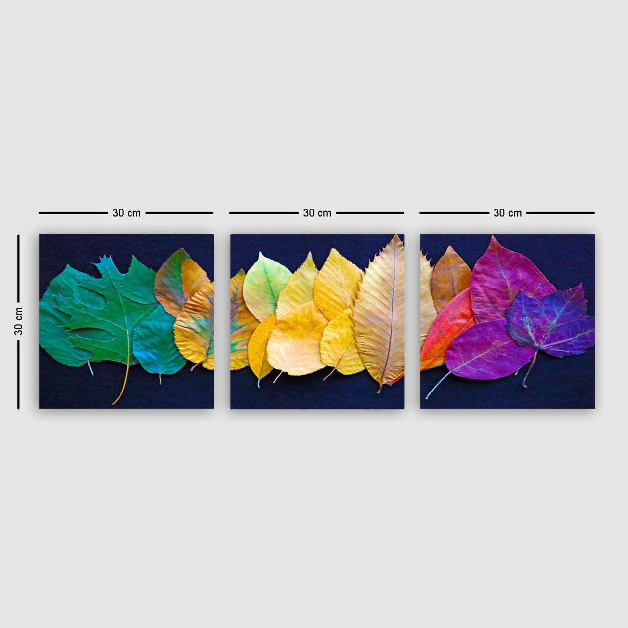 Set 3 tablouri decorative, P865762, Cadru: 100% LEMN (grosime: 3 cm), Multicolor - view 2