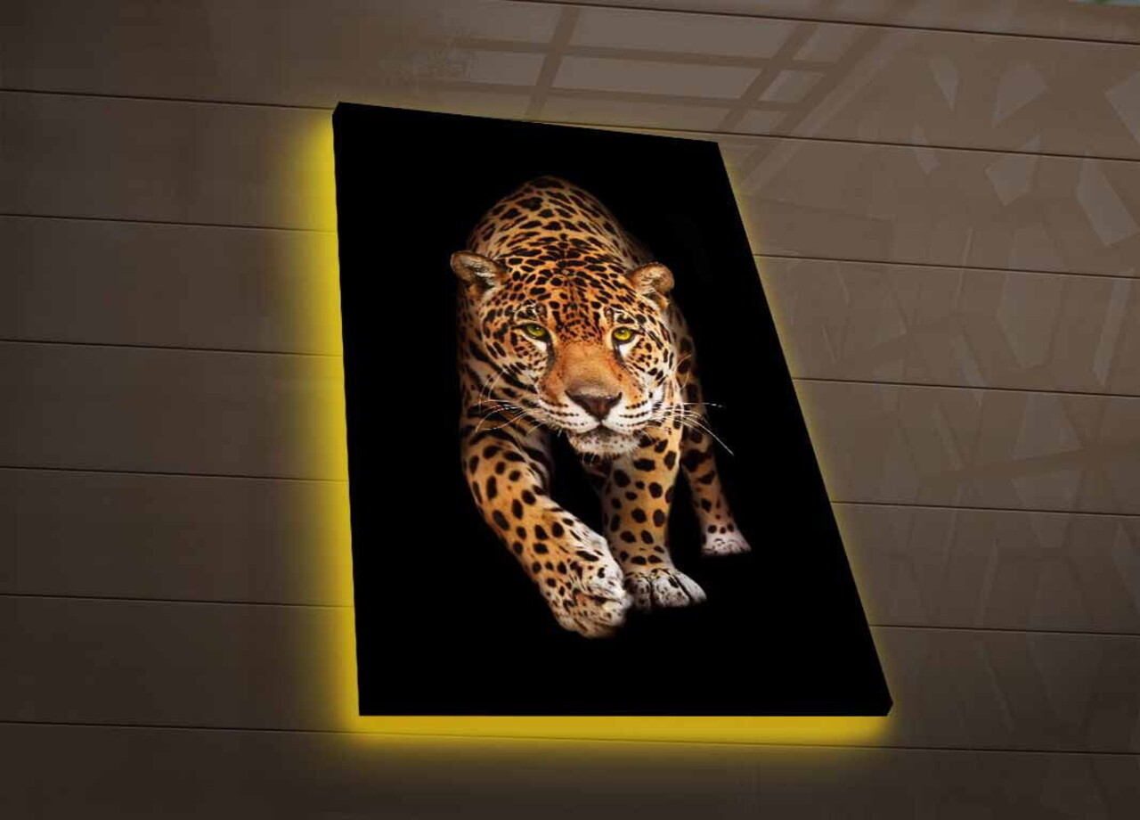 Tablou decorativ cu lumina LED, 4570DHDACT-055, Dimensiune: 45 x 70 cm, Multicolor - view 3