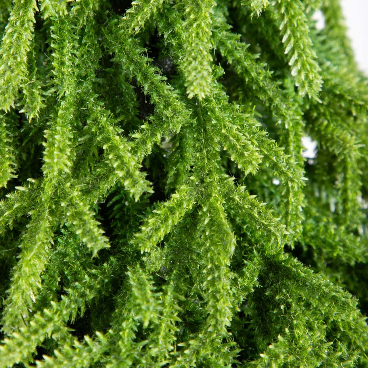 Brad artificial Hector, Homla, 100 cm, plastic, verde