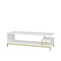 Comoda TV, Retricy, Reilly, 120x44.6x37.6 cm, PAL, Aur/Alb