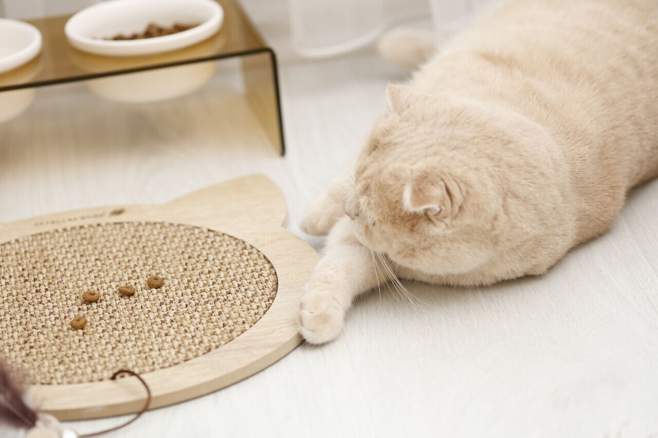 Covoras de zgariat pentru pisici, Paws &amp; Whiskers, Kedi, MDF, Bej - 3