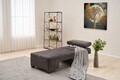 Fotoliu extensibil, Balcab Home, 825BLC4709, Lemn, Antracit