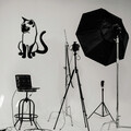 Decoratiune de perete, Cat 2 Metal Decor, metal, 39 x 55 cm, negru