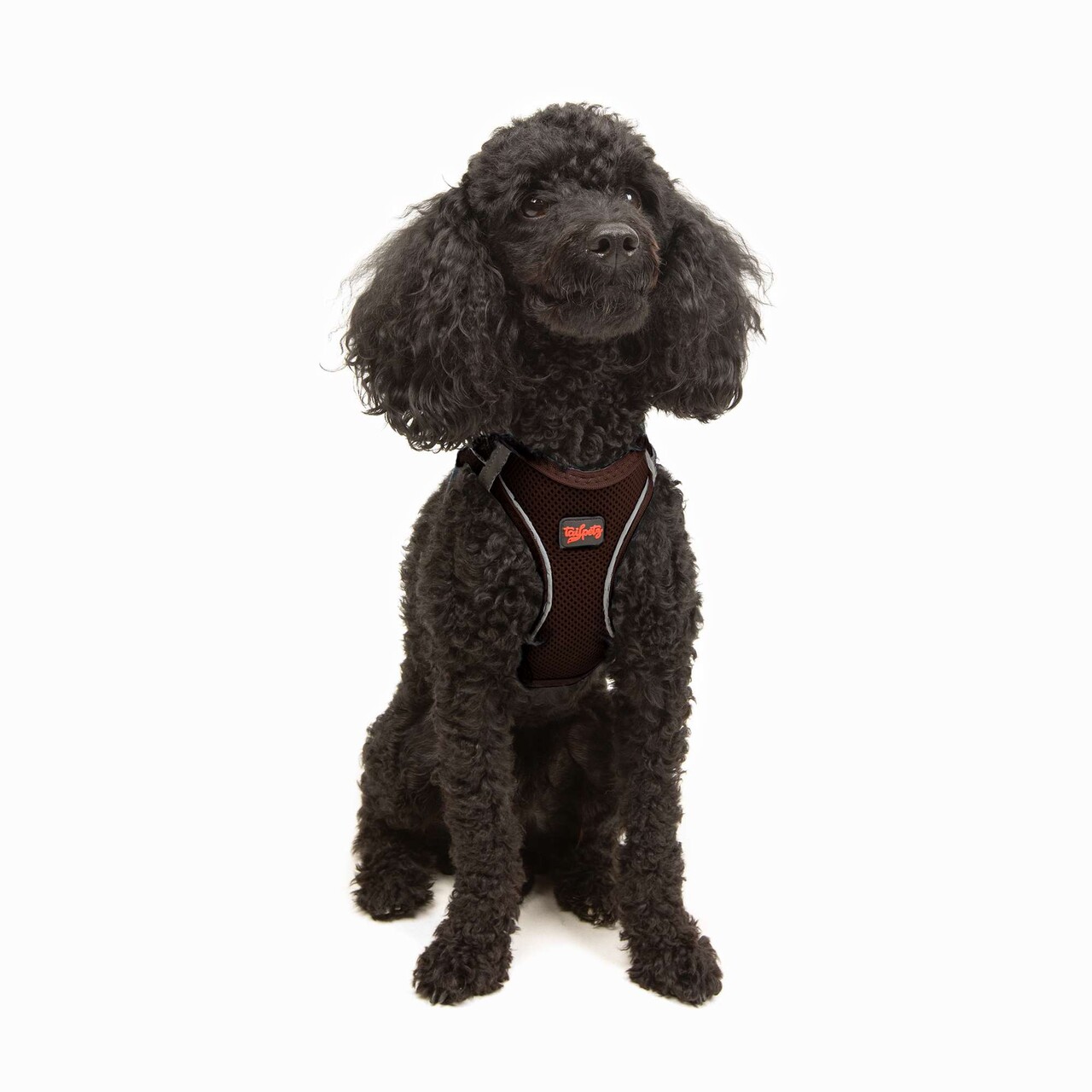 Ham pentru câini, Paws &amp; Whiskers, Air-Mesh, Maro - imagine 3