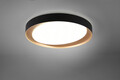 Plafoniera Zeta, RL, 48.5x7 cm, 24W, 1x SMD, plastic, negru