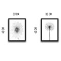 Set 2 tablouri decorative, All White Flower Set, PAL, Hartie, Multicolor