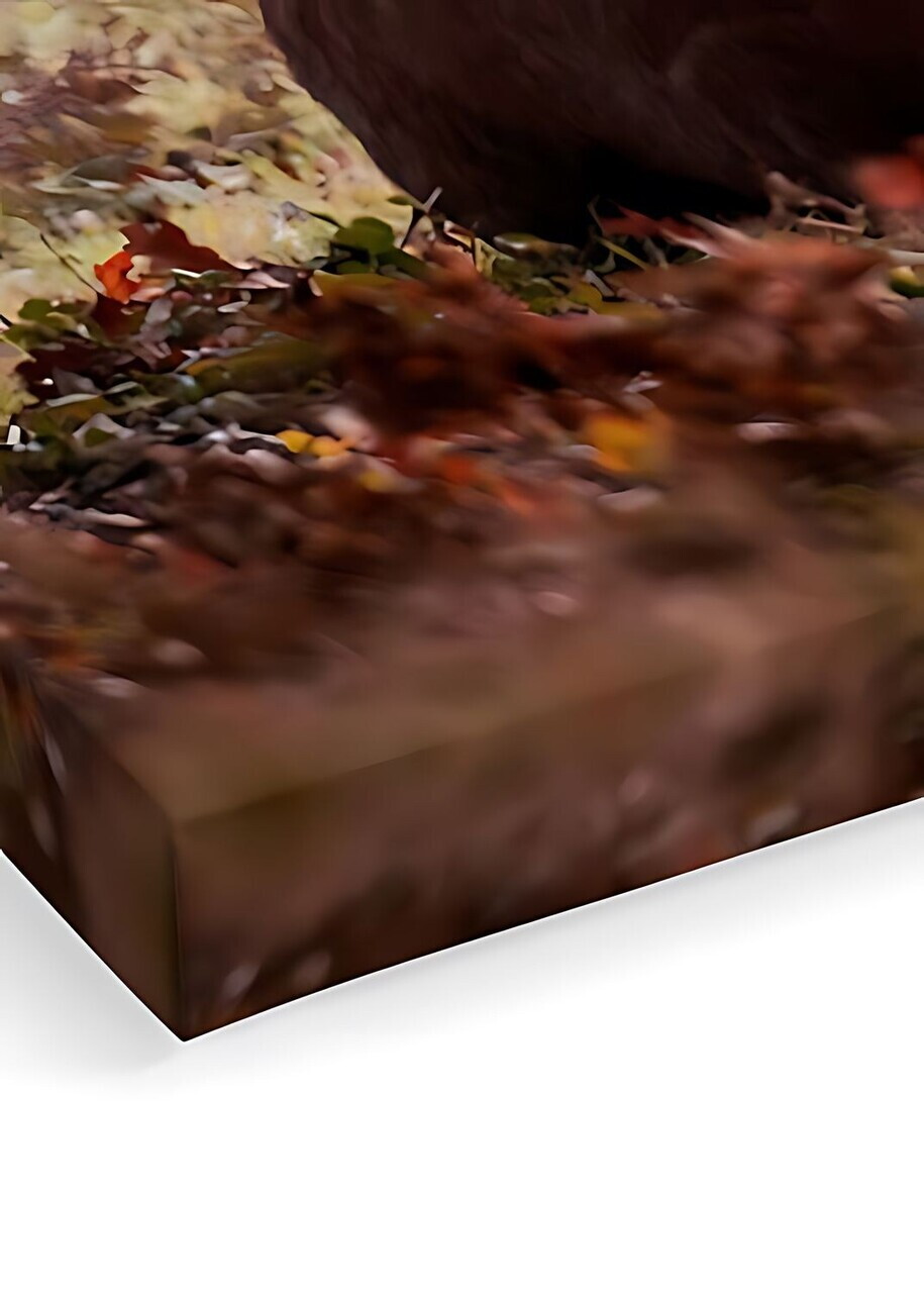 Tablou decorativ, Artcanvas46, Canvas, Dimensiune: 40 x 60 cm, Multicolor — imaginea 2