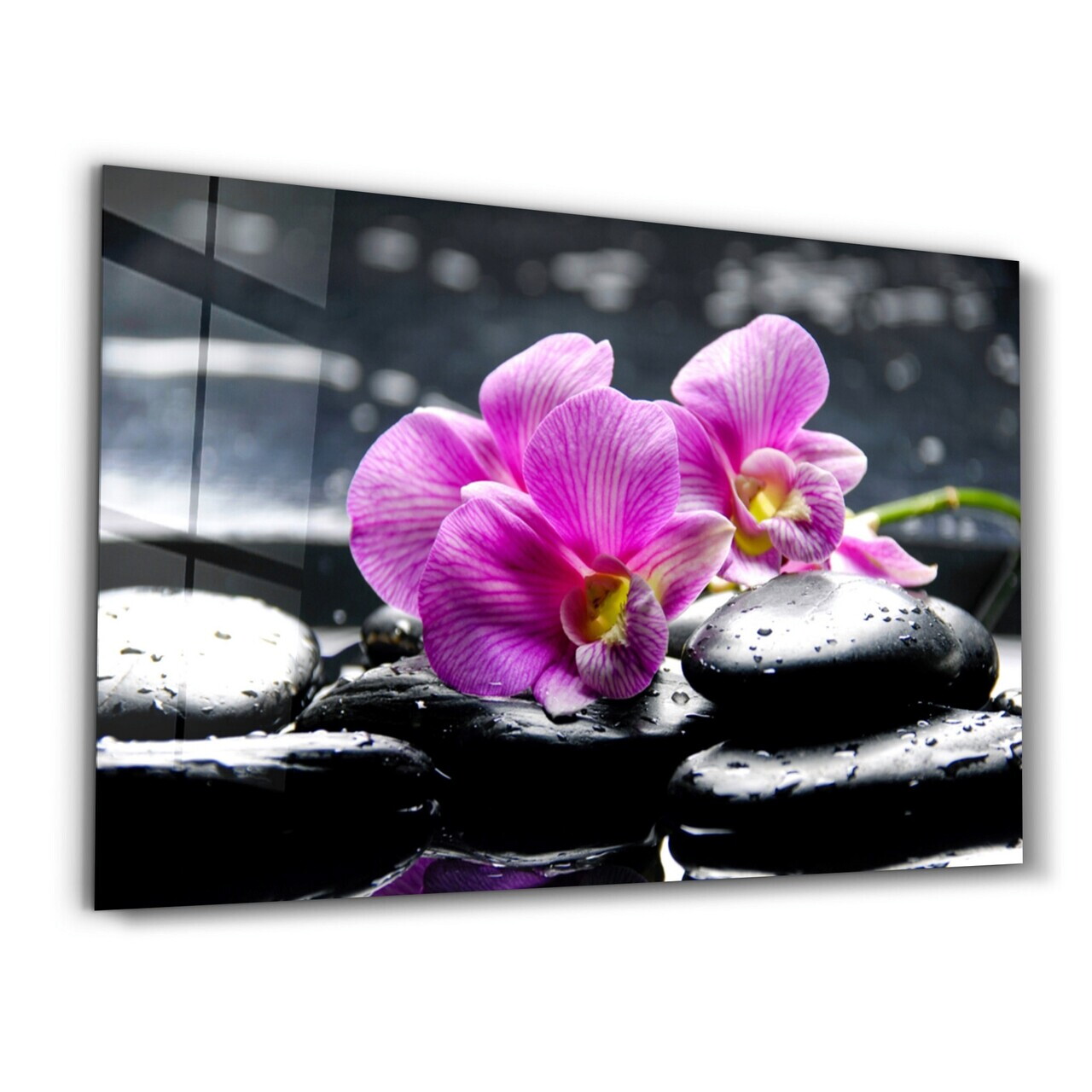 Tablou decorativ, OGLS-1090, Dimensiune: 35 x 55 cm, Multicolor — imaginea 5