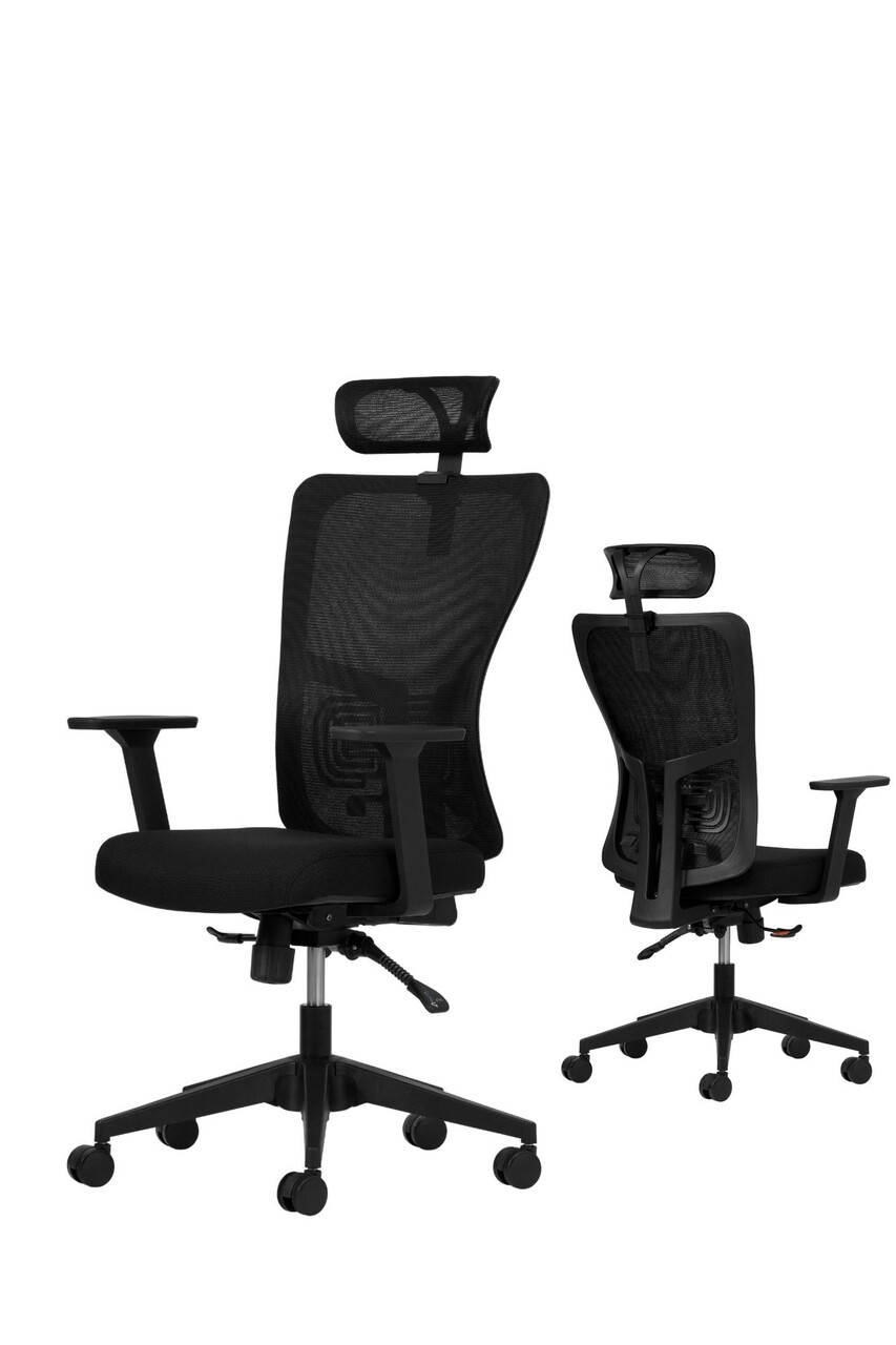 Set scaune de birou (2 piese), Hanah Home, Lumbar 126, Plastic, Negru - view 2