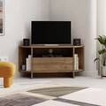 Comoda TV, Homitis, Viva, Maro
