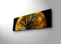Tablou decorativ cu lumina LED, 3090DACT-71, Canvas, 30 x 90 cm, Multicolor
