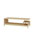 Comoda TV, Retricy, Reilly, 120x44.6x37.6 cm, PAL, Aur / Stejar