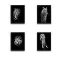 Set 4 tablouri decorative, Animals Set, PAL, Hartie, Multicolor