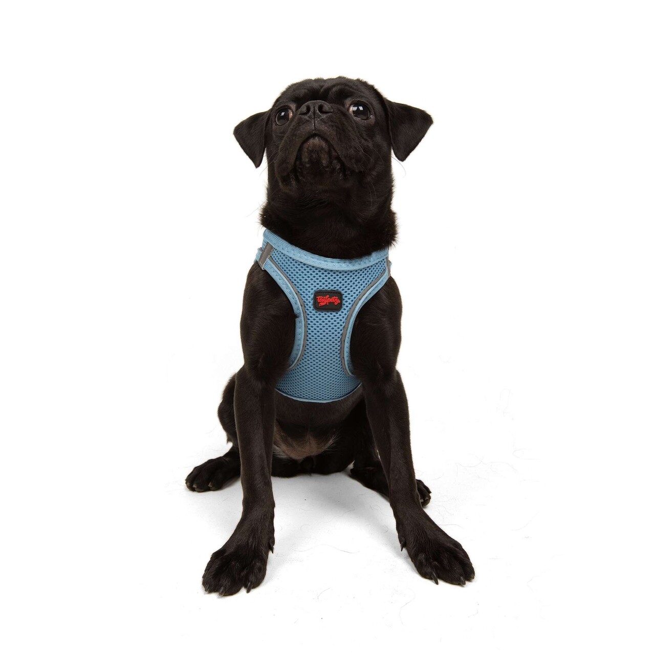 Ham pentru câini, Paws &amp; Whiskers, Air-Mesh, Poliester, Albastru - view 5