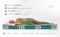 Saltea Aloe Vera Memory Pocket 7 zone, Husa Aloe Vera, Super Ortopedica, Anatomica, 120x200x19 cm