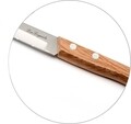 Set 4 cutite esentiale, Lou Laguiole, Essentials Forest, inox/lemn