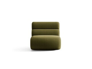 Verde oliv inchis